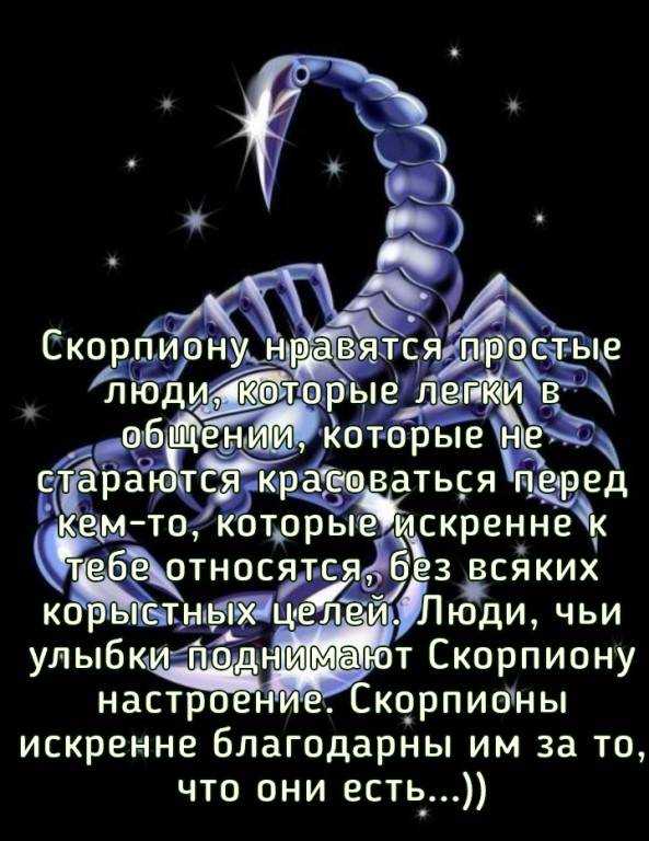 ✅ цветы домашние для скорпиона - питомник46.рф