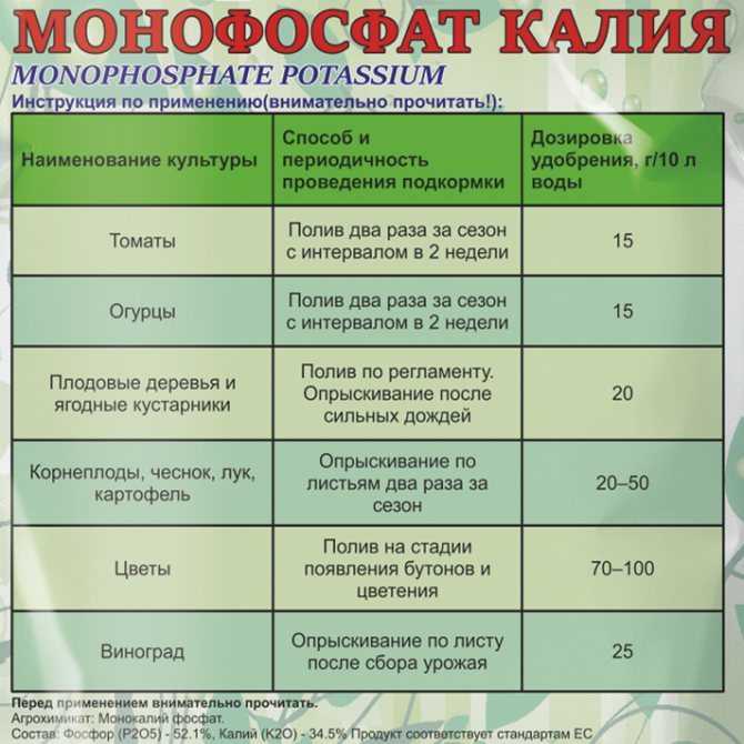 Комнатный лимон: уход в домашних условиях