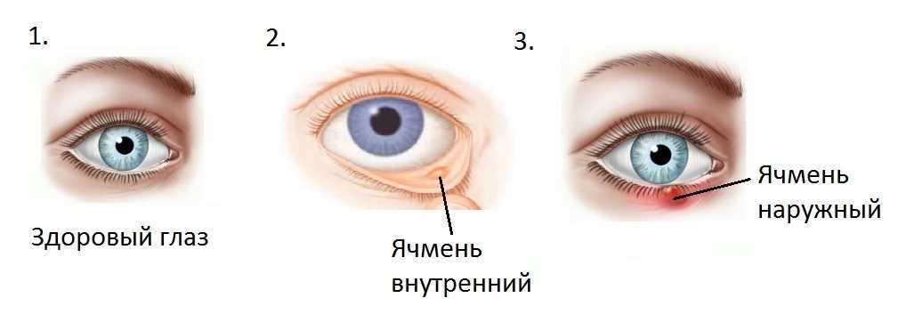 8 правил большого урожая тыквы