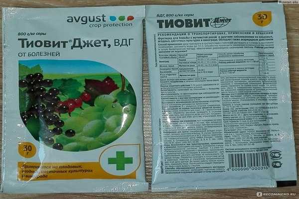 Многофункциональный препарат тиовит джет: когда обрабатывать виноградник и другие растения