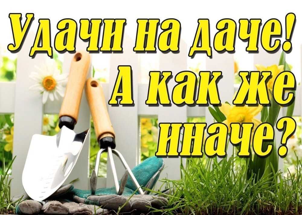 Работы в саду и в огороде в октябре 2022 – топ советов от «зеленой грядки»