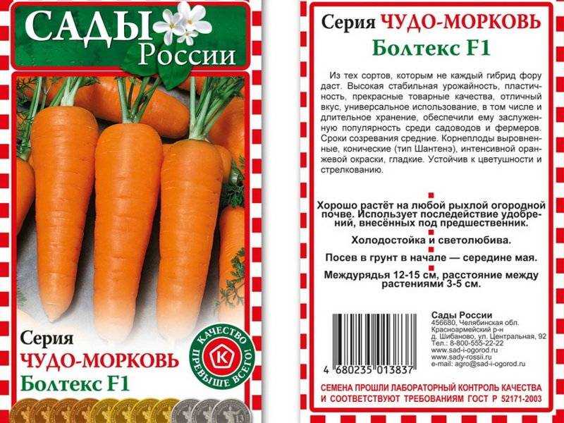 Лучшие сорта моркови на 2023 год: самые урожайные, вкусные, сочные, сладкие