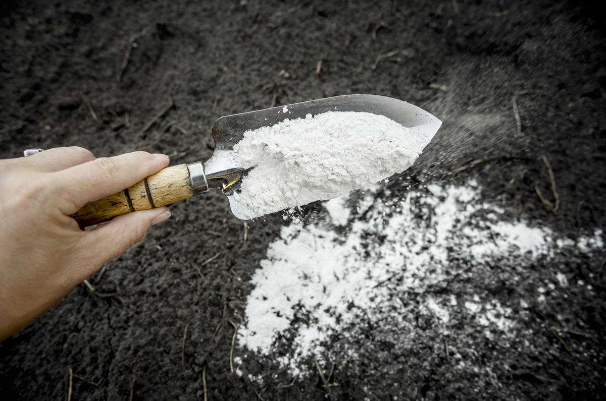 Что такое доломитовая мука и как ее использовать - сибирский сад