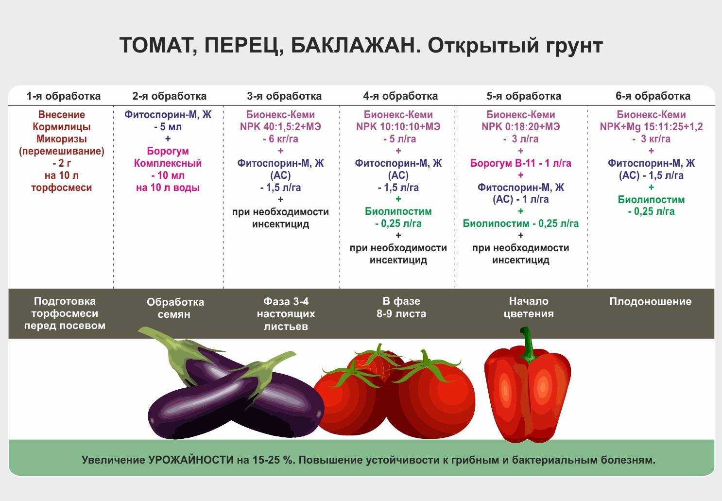 Дача и огород