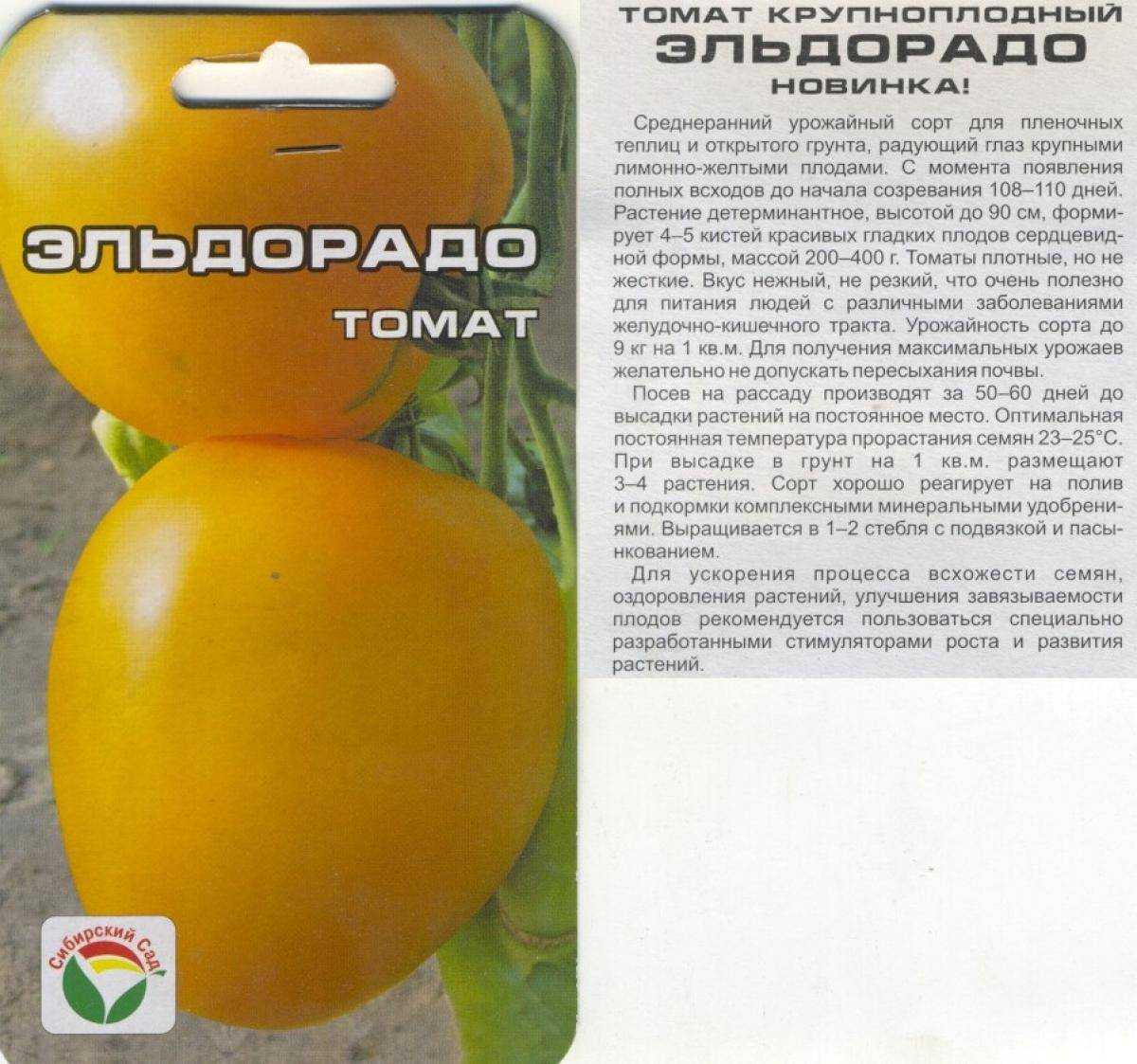 Томат оранжевый слон: характеристика и описание сорта с фото