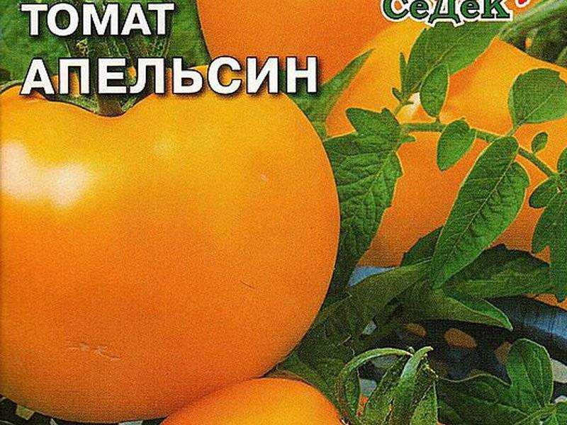 Томат апельсин - характеристика и описание сорта, фото, урожайность, отзывы овощеводов, видео