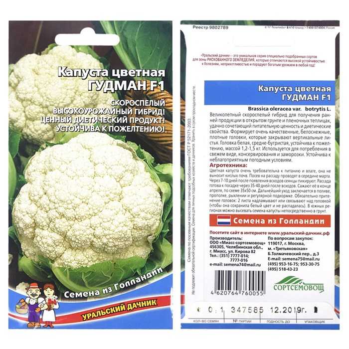 Высокоурожайные сорта цветной капусты | садоводство и огородничество