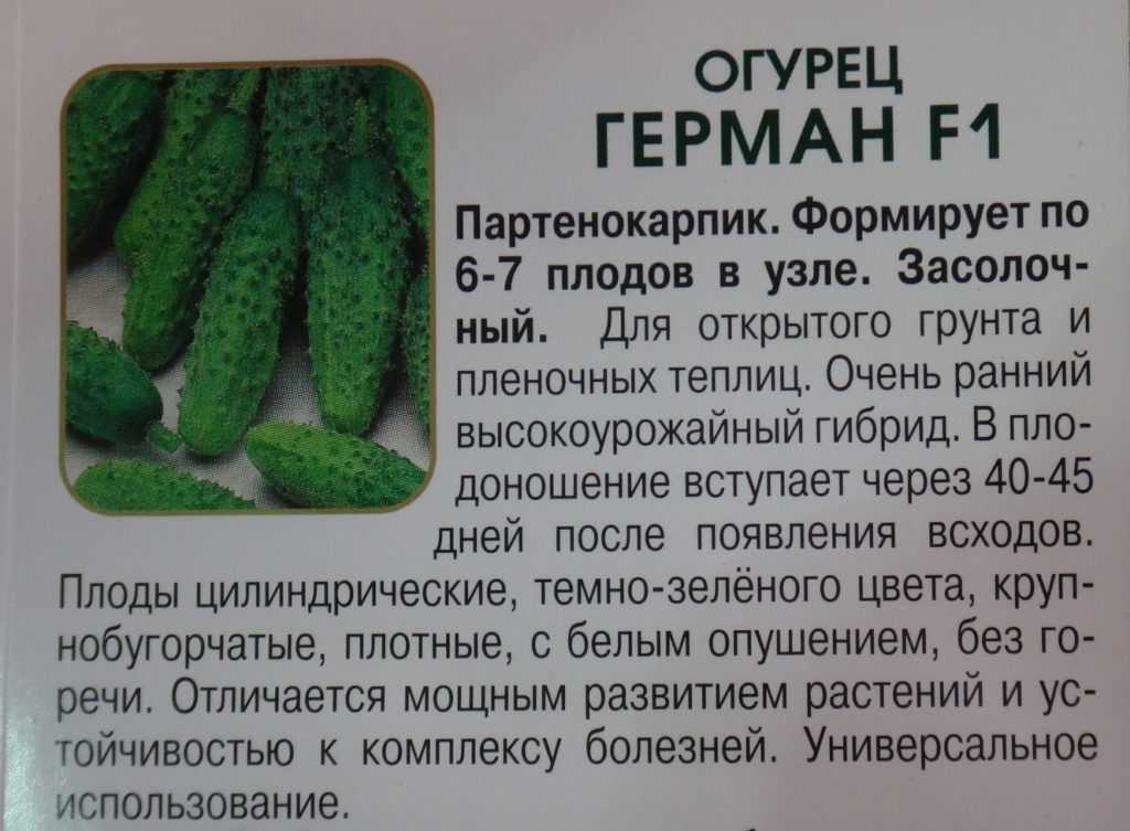 Описание сорта огурцов конкурент — правила выращивания