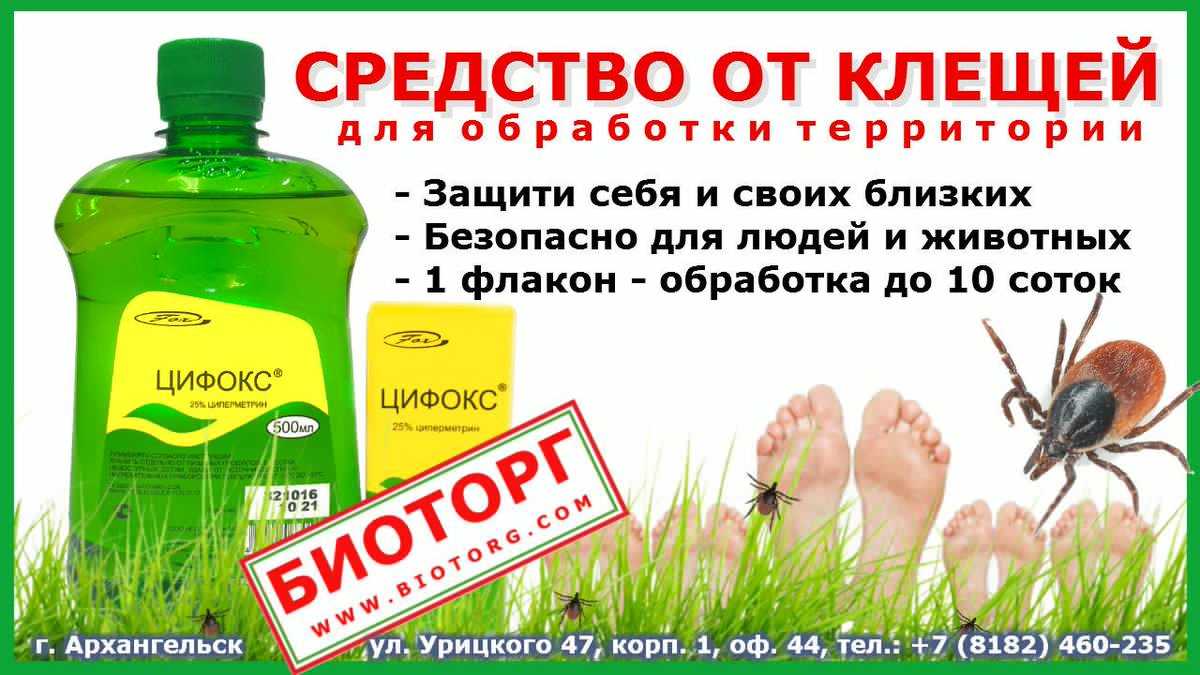 Народные средства от клещей для людей на дачном участке
