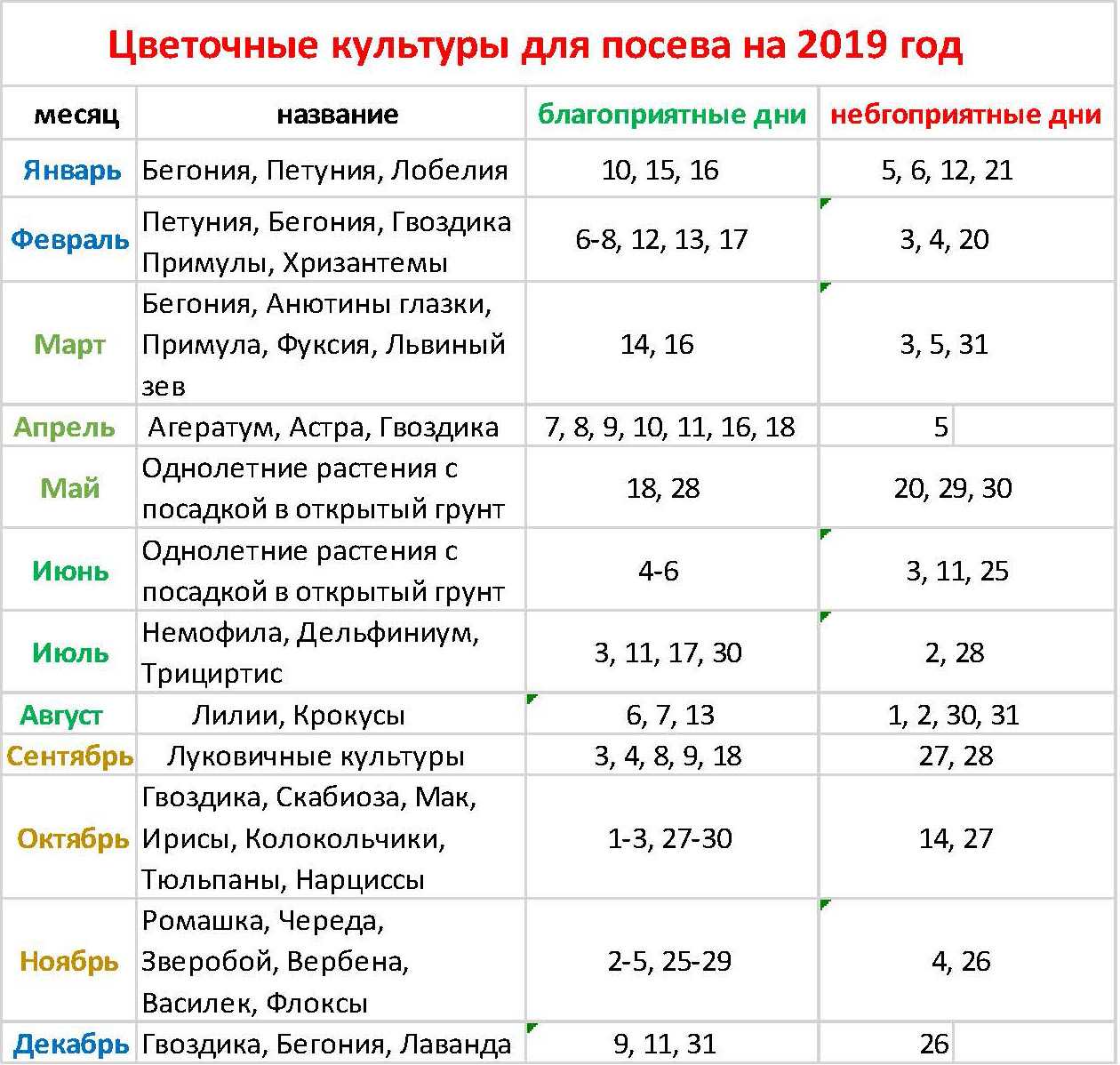 Как вырастить циннии из семян
