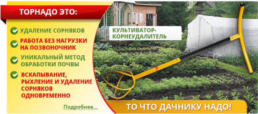 Инвентарь, необходимый для дачных работ