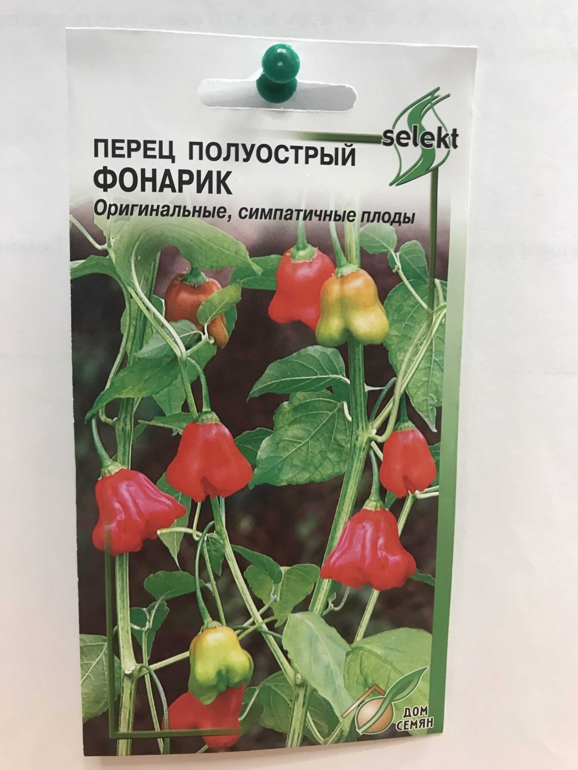 Горький перец «колокольчик»: описание сорта и особенности его выращивания