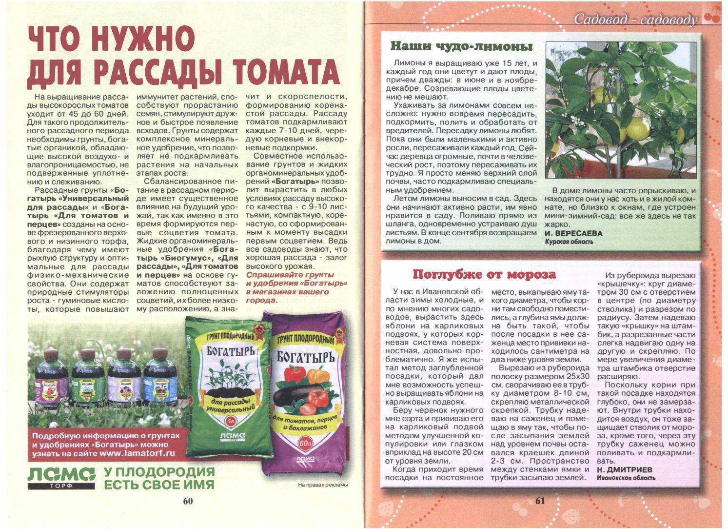 Как составить грунт для рассады Универсальный почвогрунт Составы для томатов, перца, огурцов, капусты и баклажанов