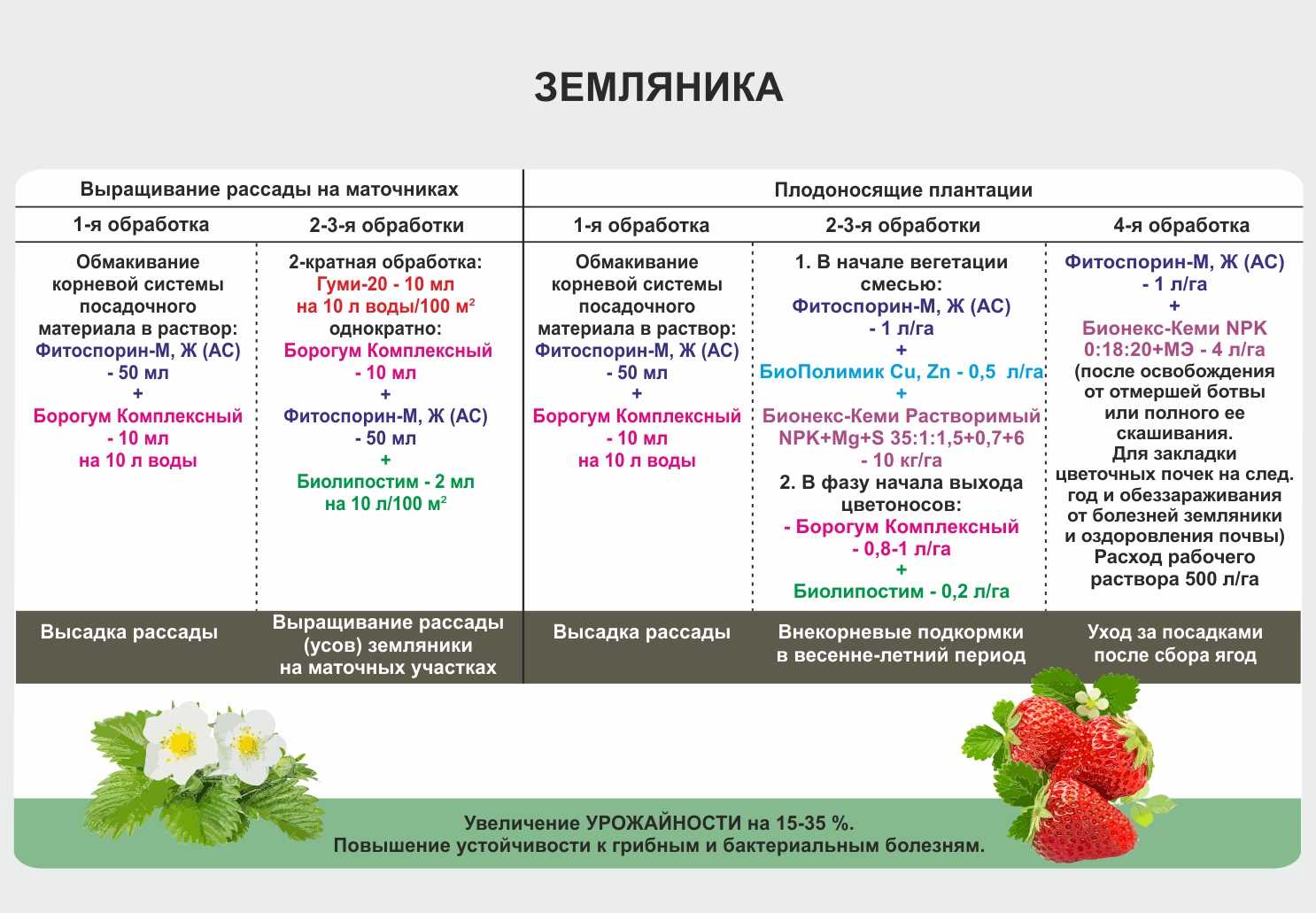Чем удобрять клубнику весной для получения хорошего урожая