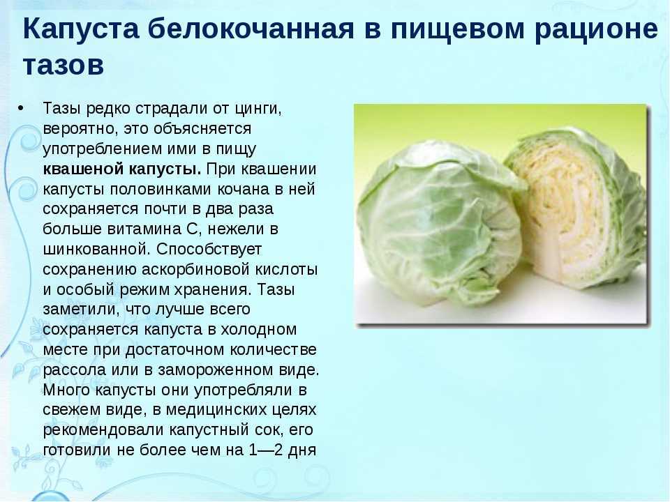 Какой сорт капусты лучше для квашения, чтобы блюдо получилось хрустящим