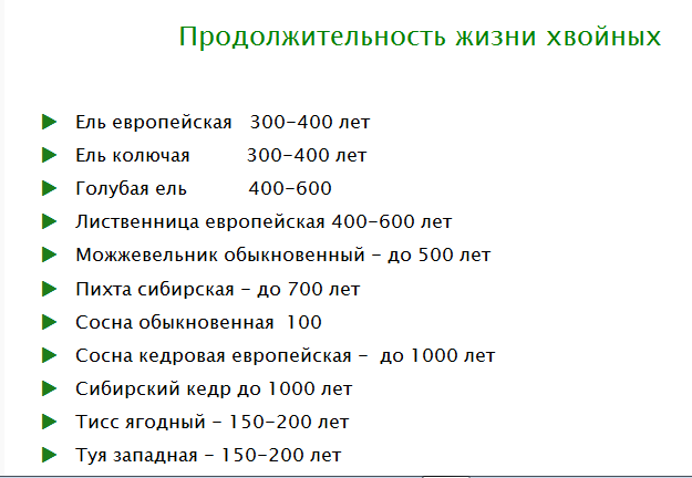 Описание лучших сортов яблонь для подмосковья: фото, отзывы