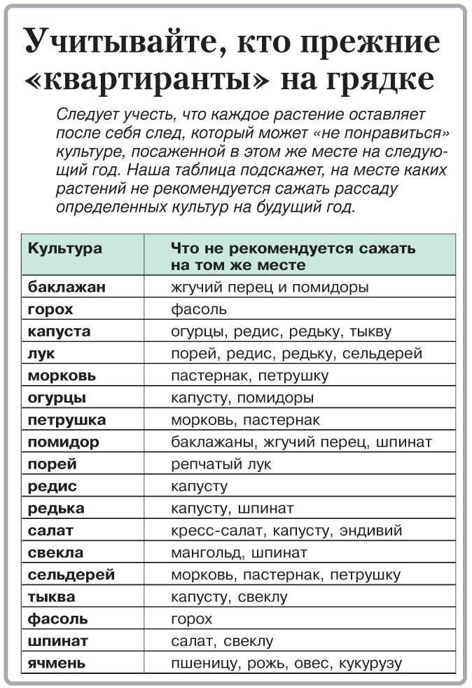 Что после чего сажать на следующий год и почему: таблица