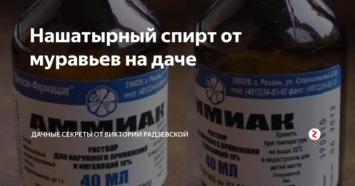 Народные средства от тли: методы борьбы в огороде с помощью горчицы, нашатырного спирта, золы, зеленого и хозяйственного мыла, как избавиться от нее в саду? selo.guru — интернет портал о сельском хозяйстве
