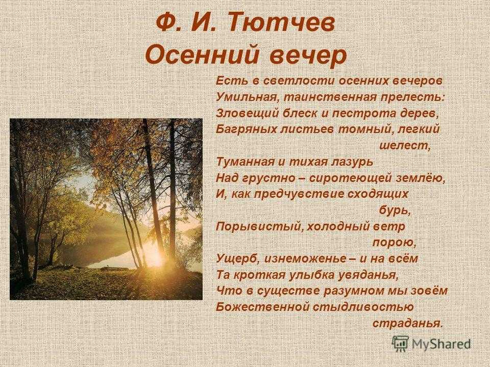 Кто роет ходы на участке и как от них избавиться