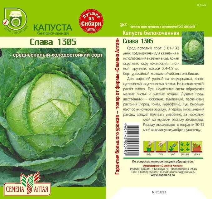Капуста подарок – описание сорта, фото, отзывы