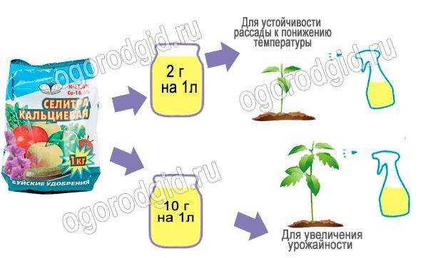 Удобрения для томатов с кальцием: инструкция по применению подкормки в теплице, нехватка глюконата и кальценита, народные средства обработки