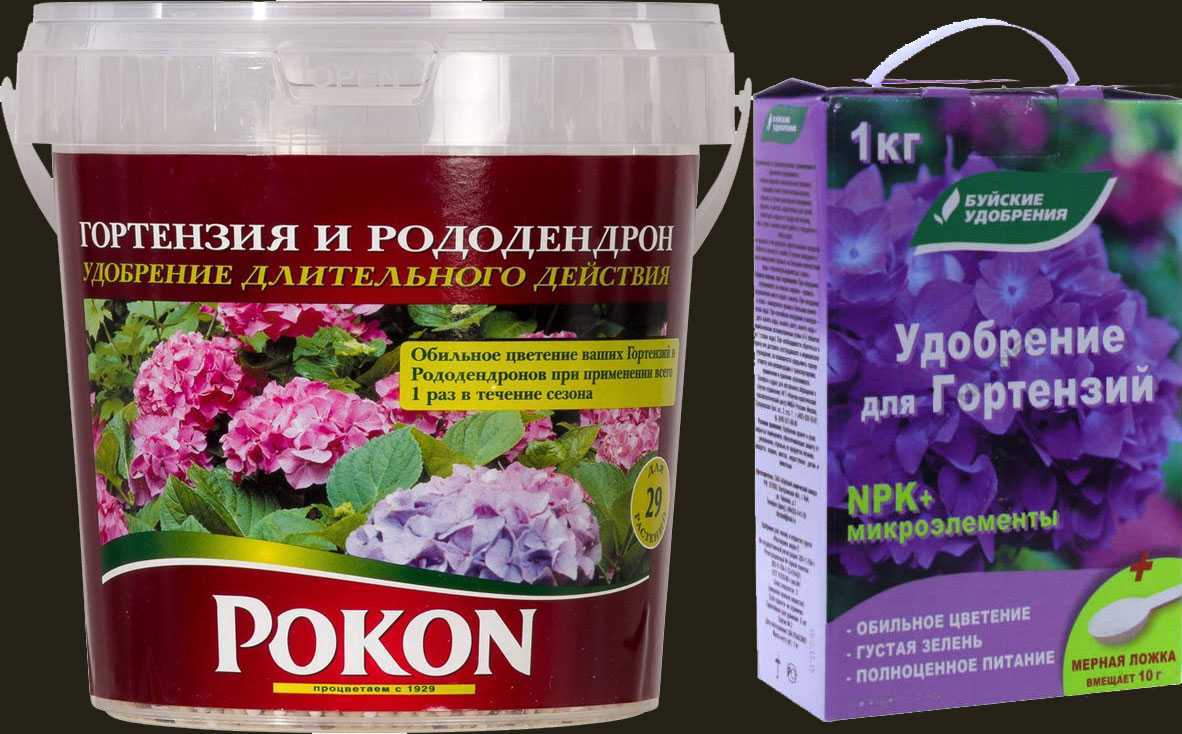 Чем подкормить гортензию – комплекс минералов для роста зелени и цветения. органические и минеральные подкормки