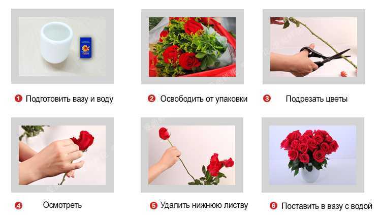 Как дольше сохранить букет цветов в вазе с водой - 9 советов