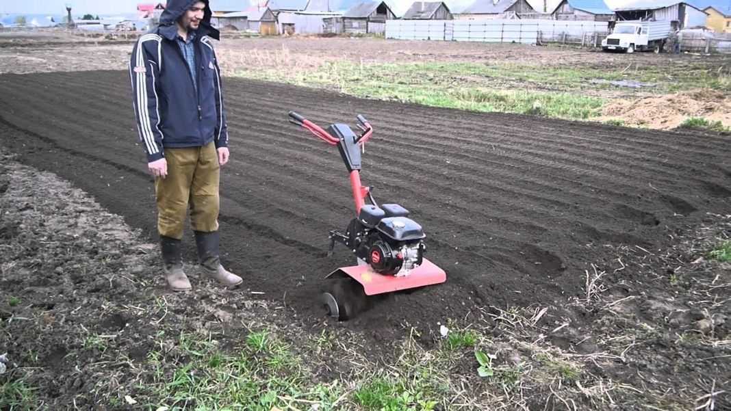 Почва: подготовка участка к весенним посадкам. как правильно сделать грядки? фото — ботаничка
