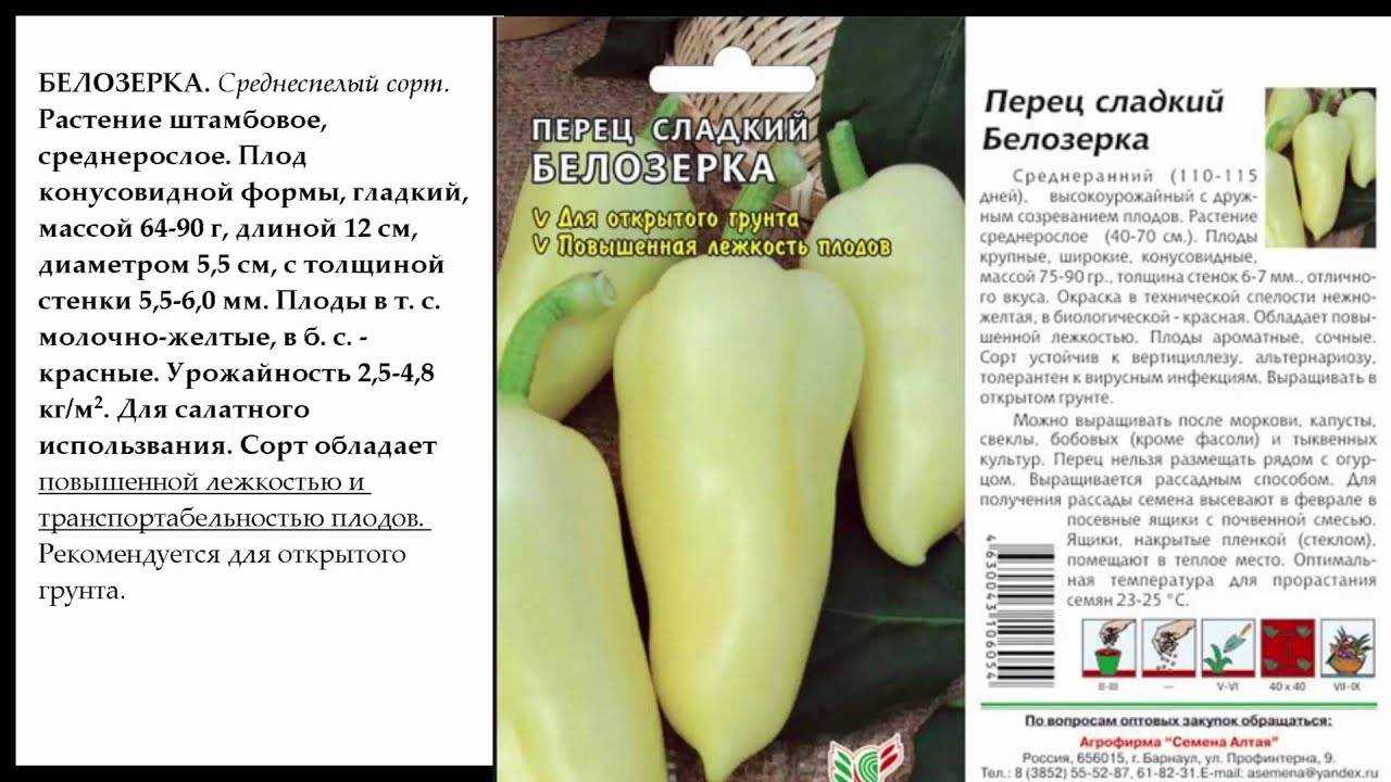 Перец колокольчик: описание сорта