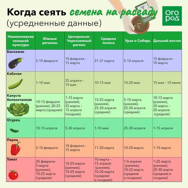 Капуста — не только популярная среди огородников культура, но и довольно полезная Как правило, те, кто на своём участке выращивает овощи, непременно