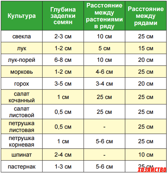 Когда что сажать в огороде: сроки посадки культур в средней полосе