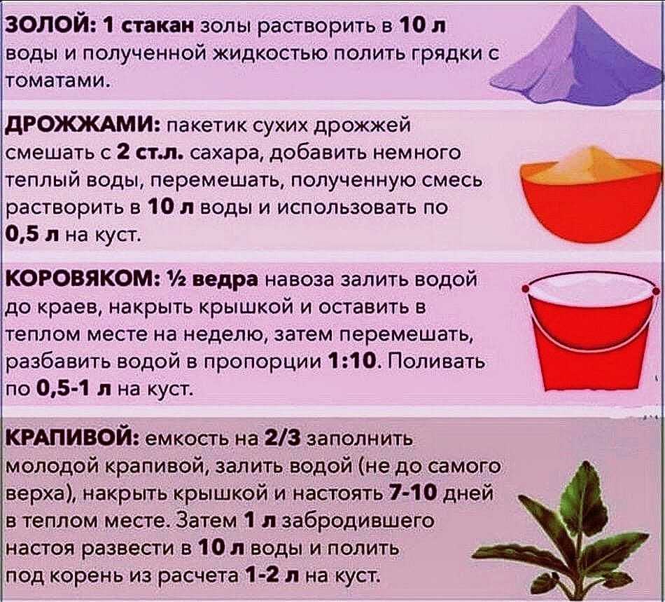 Нашатырный спирт для рассады: правила подкормки