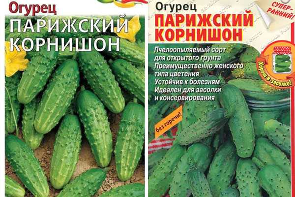 Огурцы парижский корнишон: описание сорта с фото, выращивание, отзывы о семенах и урожае