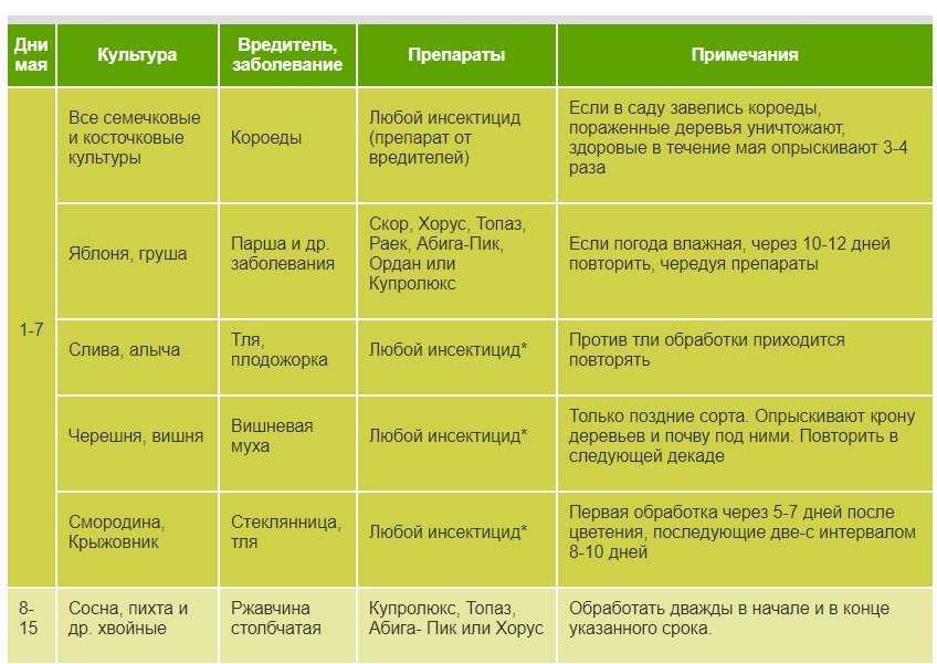Уход за хризантемами осенью в открытом грунте и в горшках