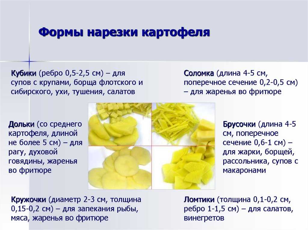 12 лучших сортов картофеля 2023, самые вкусные и урожайные