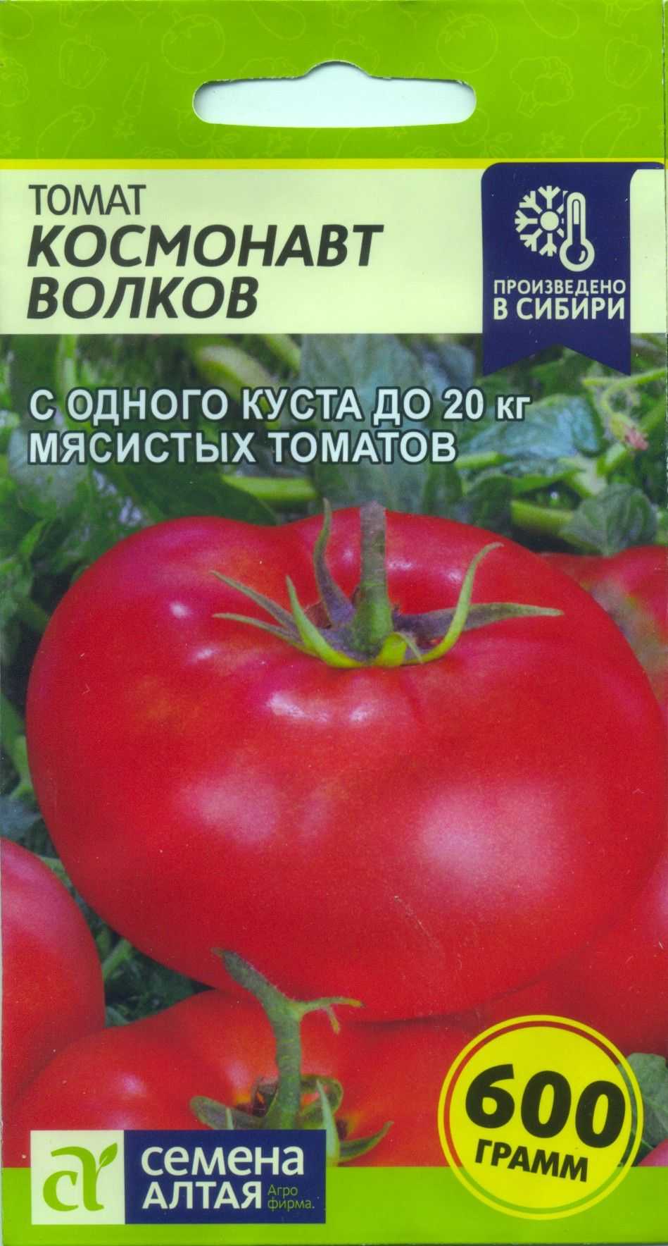 Томат «космонавт волков» - фото, отзывы, характеристики и описание сорта