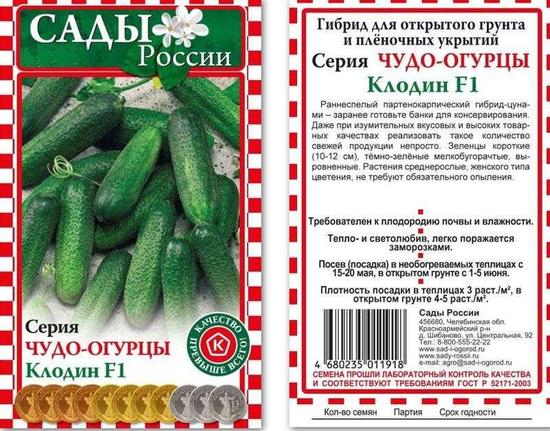 Огурцы клавдия: описание и характеристика сорта, достоинства и недостатки, особенности посадки и ухода + фото и отзывы