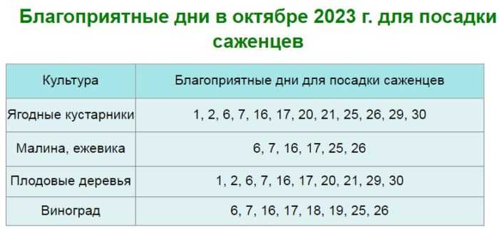 19 цветов которые можно сажать на рассаду в феврале: фото, название, описание