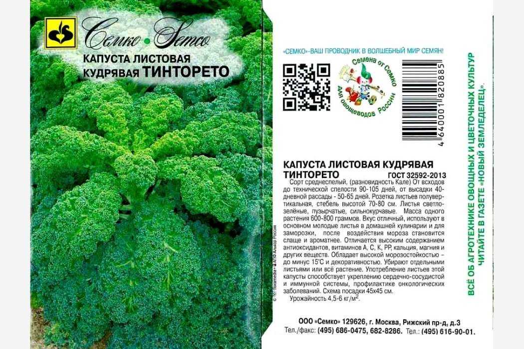 Капуста листовая редбор посадка и уход