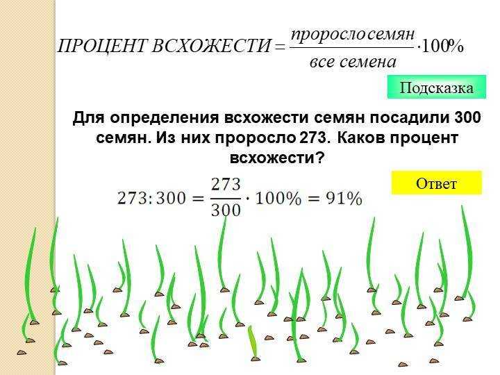 Почему вытягивается рассада и что делать: советы опытных огородников