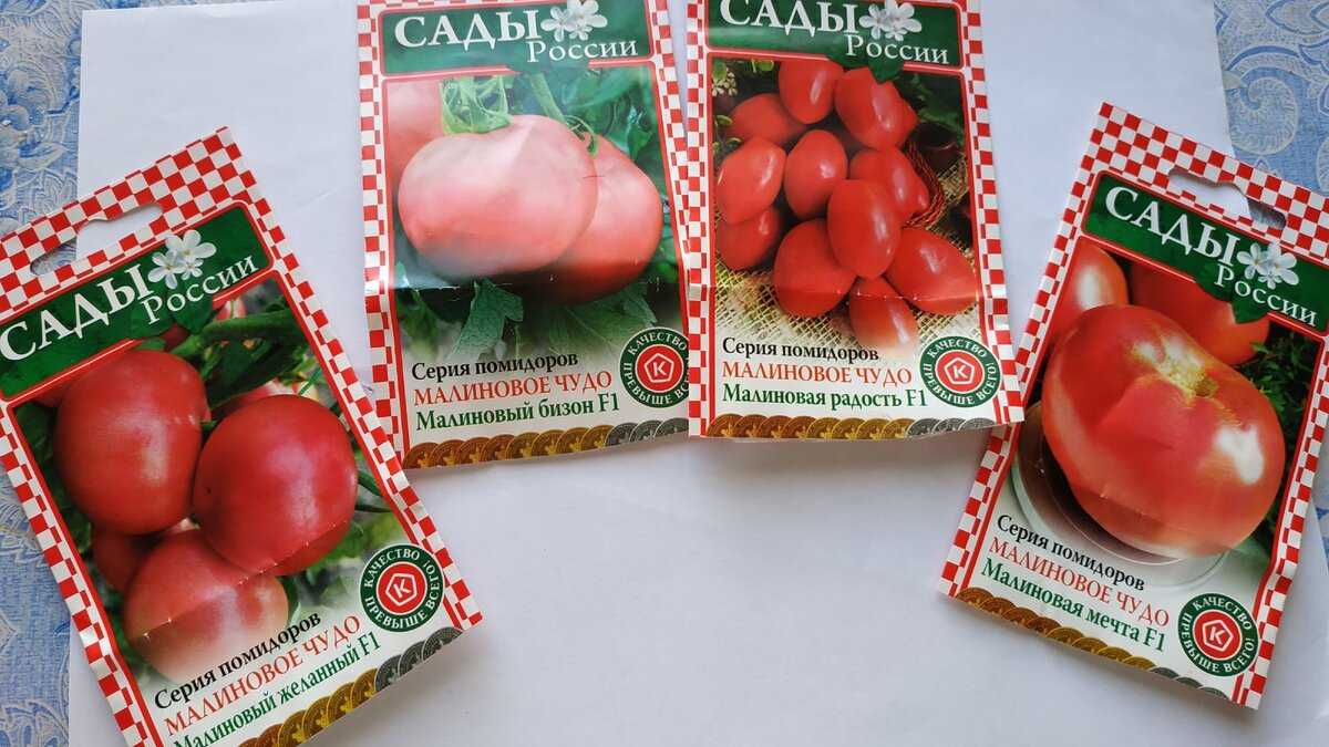 Томат малиновое чудо: отзывы огородников и пошаговая инструкция по выращиванию и получению обильного урожая