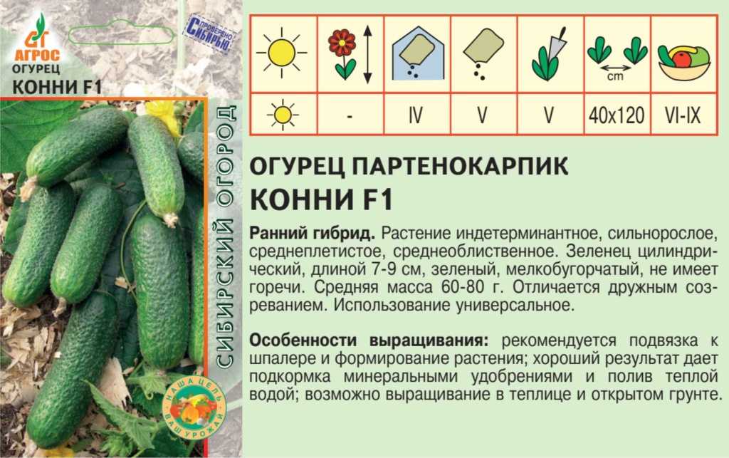 Огурец конни f1: описание сорта, отзывы, фото, урожайность