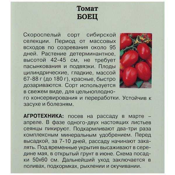 Томат хлыновский: описание сорта, особенности его выращивания