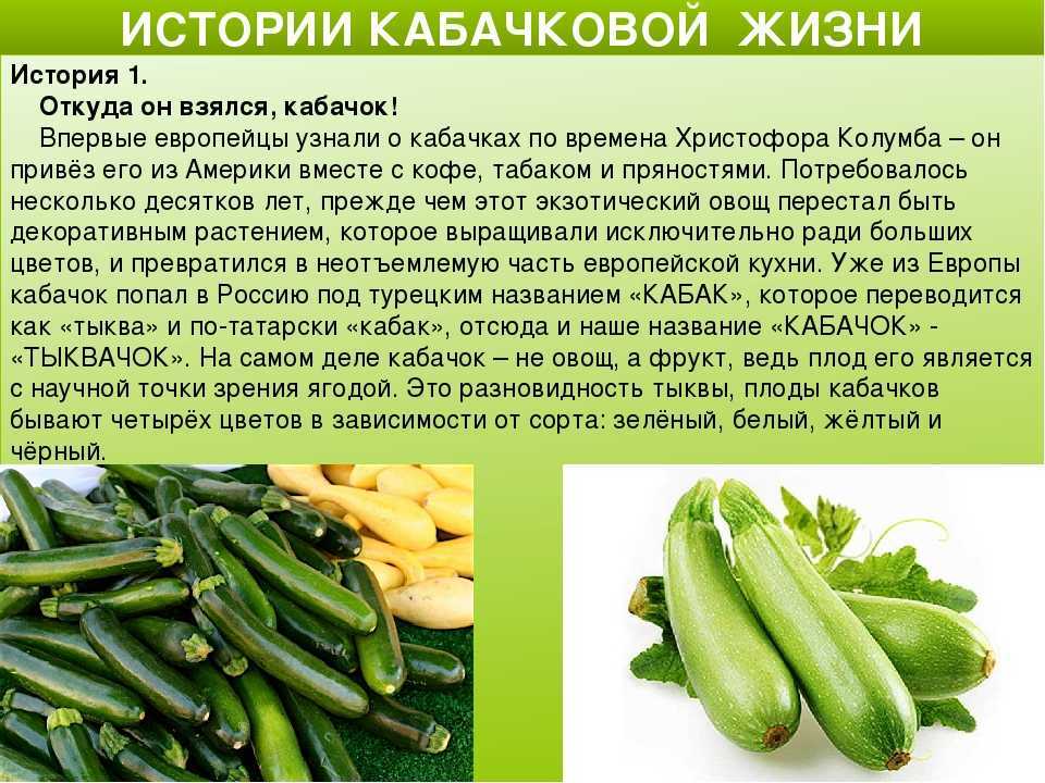Рецепт для старых кабачков