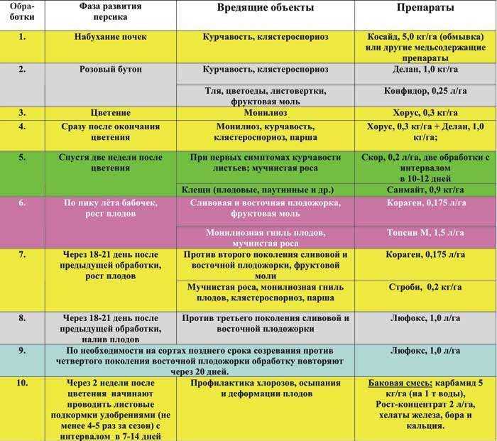 Персик: посадка, уход и обрезка