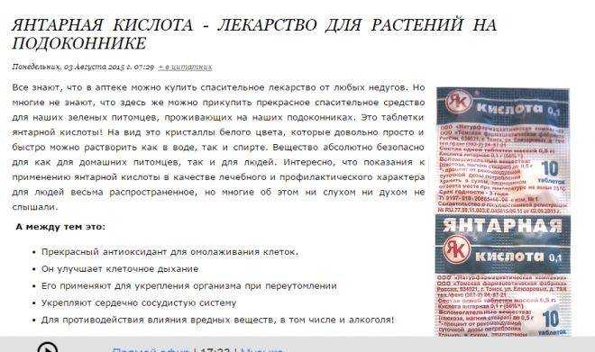 Янтарная кислота для растений: инструкция по применению