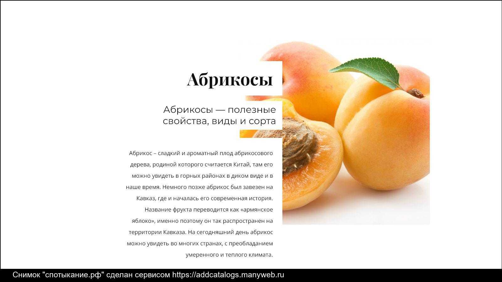 Моя любовь абрикоса текст. Полезные свойства абрикосового. Полезные свойства абрикоса. Абрикос товары. Чем полезны абрикосы.