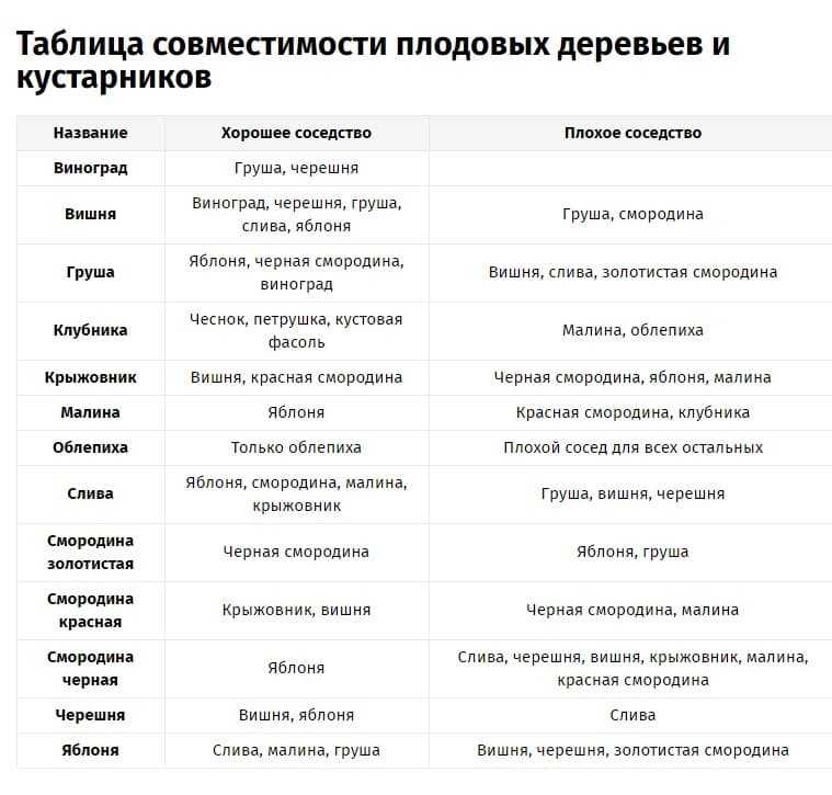 Ремонтантная малина уход и посадка в открытом грунте: размножение и когда лучше садить, как посадить куст, технология правильного ухода и выращивания