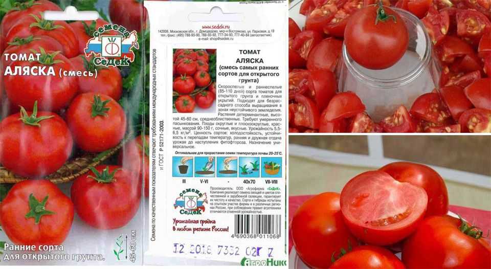 Лучшие сорта помидор на 2023 год: самые урожайные, вкусные, для открытого грунта и теплиц