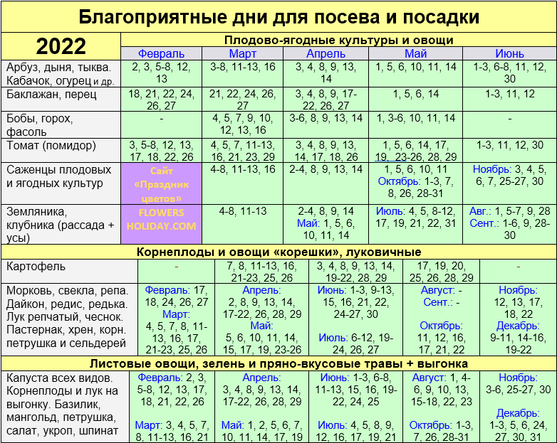 Немезия – выращивание из семян - мой агро - помощник в сельскохозяйственном мире